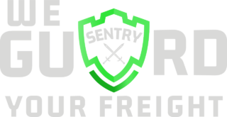 https://sentrylog.com/wp-content/uploads/2024/08/Website-Logo-1-320x165.png