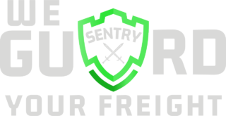 https://sentrylog.com/wp-content/uploads/2024/08/Website-Logo-320x165.png